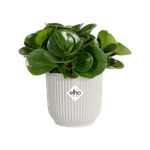 vibes fold rond mini 9cm blanc soie